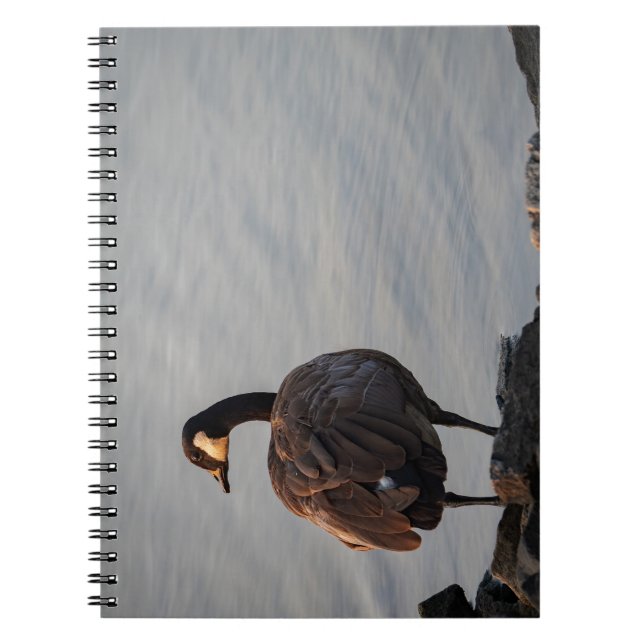 Serene Lakeside Solitude Notebook (Front)