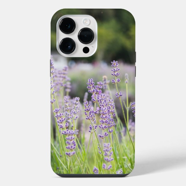 Serene Lavender Field iPhone Case (Back)