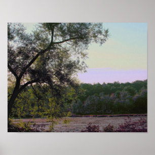 Serene Marsh And Tree Photo Effect Nature Poster