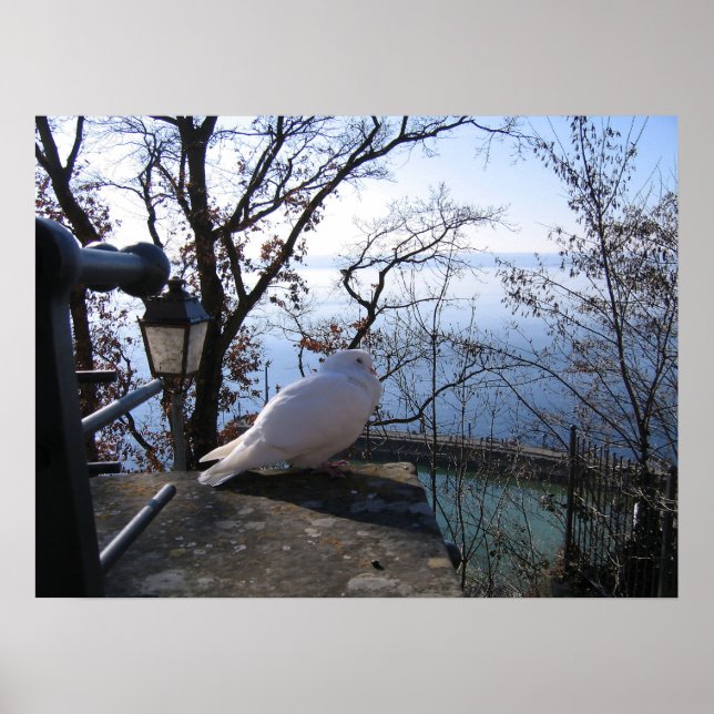 Serene Overlook Poster (Front)