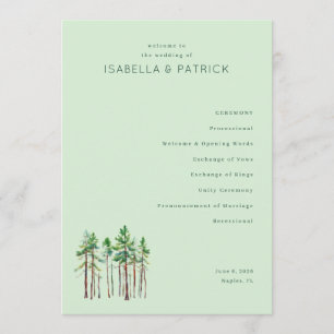 Serene Pastel Green Pine Trees Program