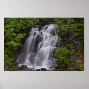 Serene Poster