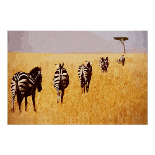 Serene Safari – Zebras in the Golden Grasslands Poster