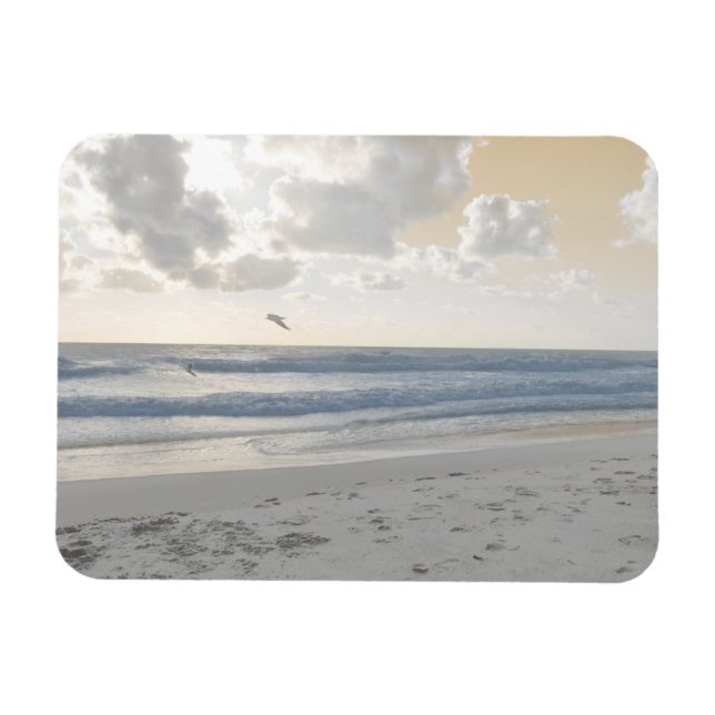 Serene Sea Magnet (Horizontal)