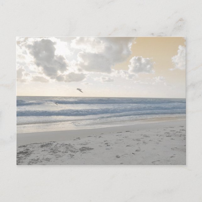 Serene Sea Postcard (Front)