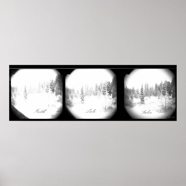 Serene Sierra Snowstorm Poster (Front)