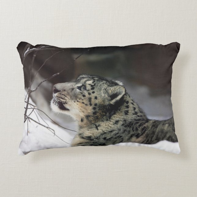 Serene Snow Leopard Accent Pillow (Front)