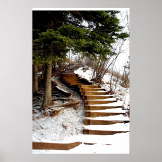 Serene Stairway Poster