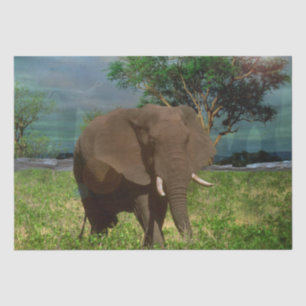 "Serene Strength: The Bull Elephant Grazing" Tissue Paper