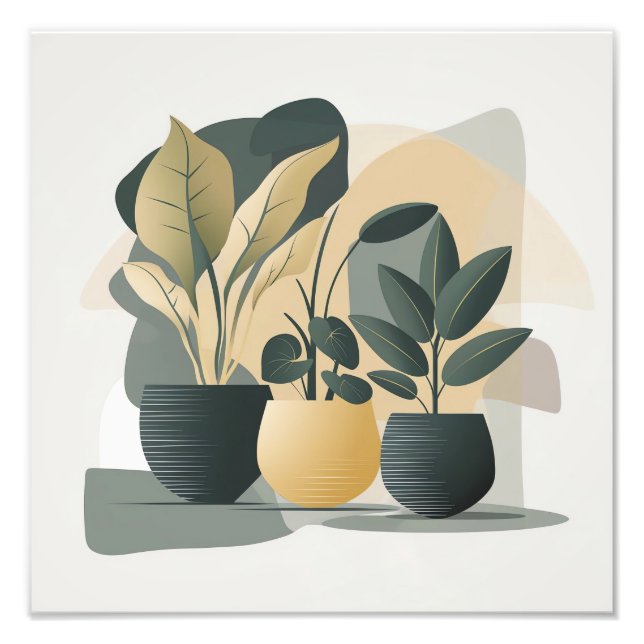 Serene Succulents Photo Print (Front)