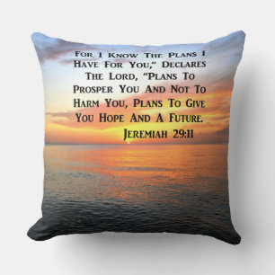 SERENE SUNRISE JEREMIAH 29:11 BIBLE VERSE THROW PILLOW