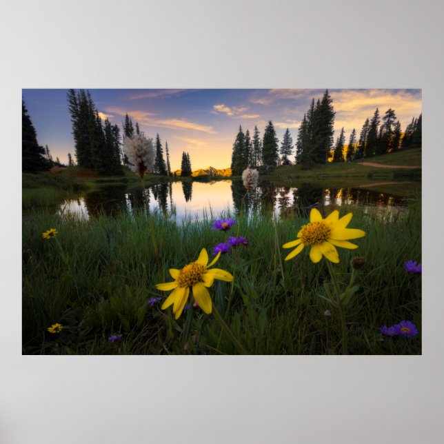 Serene Sunrise over a Colorado Pond Poster (Front)