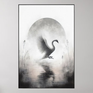 Serene Swan In Still Waters Poster
