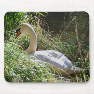 Serene Swan Mousepad