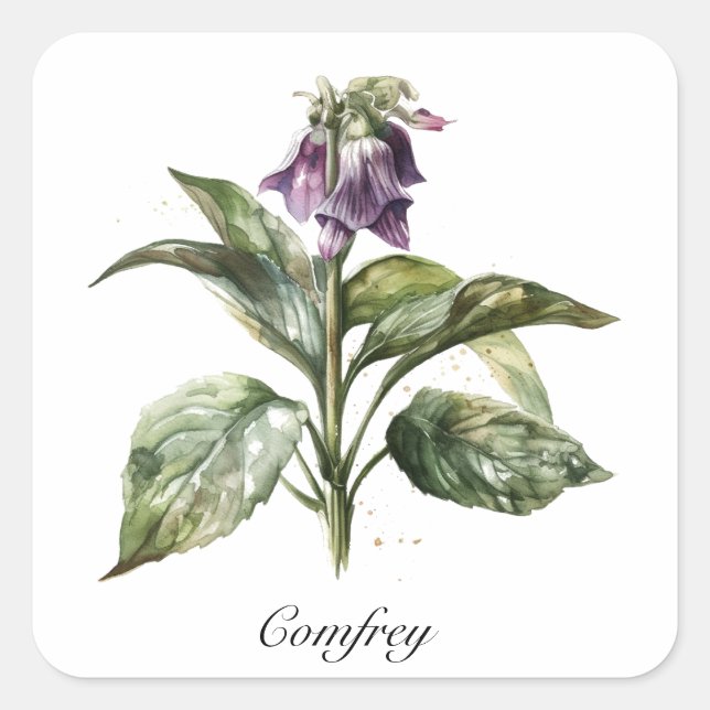 Serene Watercolor Comfrey, custom  Square Sticker (Front)