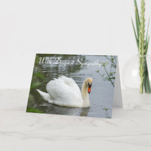 Serene White Swan Sympathy Card
