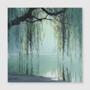 Serene Willow Tree Reflection Nature Art (4)