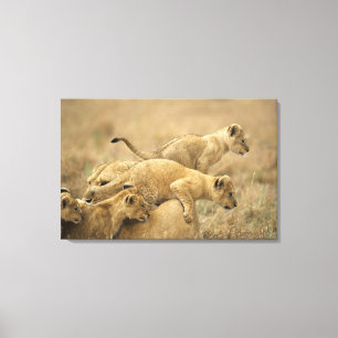 Serengeti National Park, Tanzania 2 Canvas Print
