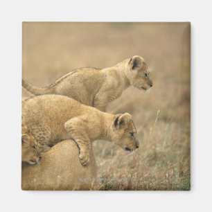 Serengeti National Park, Tanzania 2 Magnet