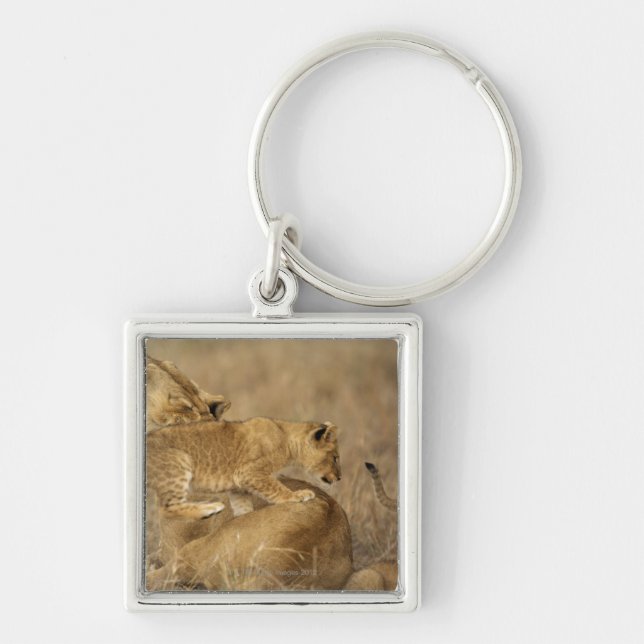 Serengeti National Park, Tanzania Keychain (Front)