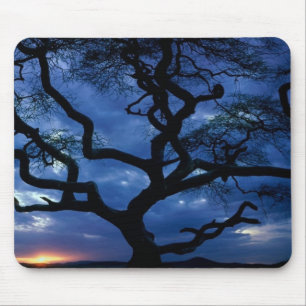 Serengeti National Park, Tanzania Mouse Pad