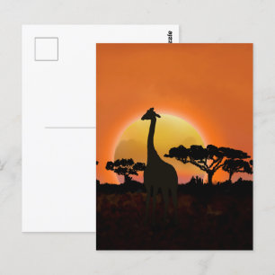 Serengeti Sunset Giraffe Safari Wildlife Postcard