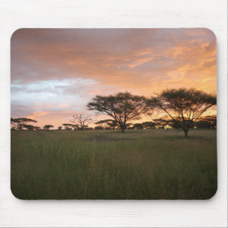 Serengeti Sunset Mouse Pad