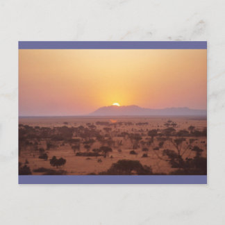 Serengeti Sunset Postcard