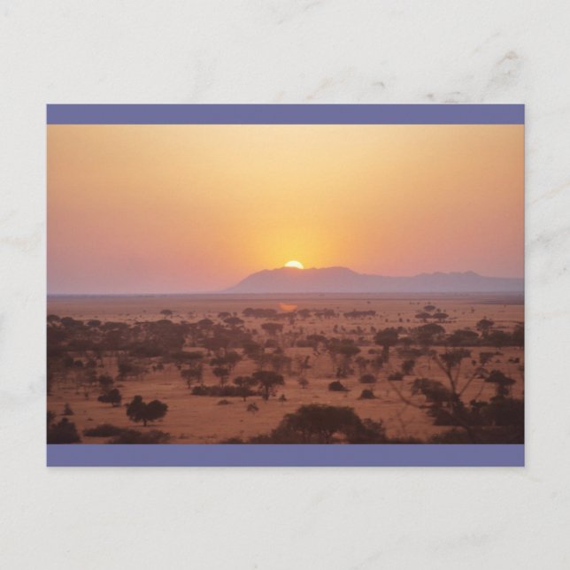 Serengeti Sunset Postcard (Front)