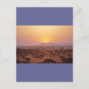 Serengeti Sunset Postcard