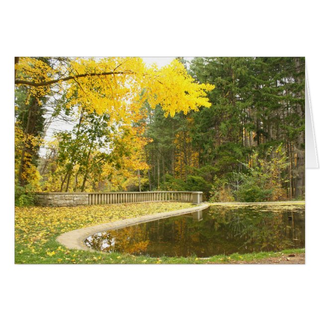 Sérénité (Devant horizontal)