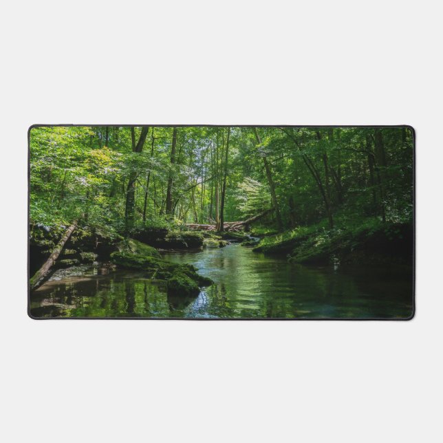 Sérénité dans la forêt  (Recto)