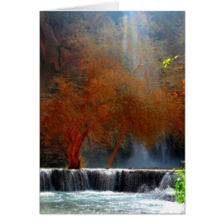 Sérénité de cascade