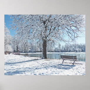 SERENITY AT OLANDER PARK/FIRST SNOW FALL POSTER