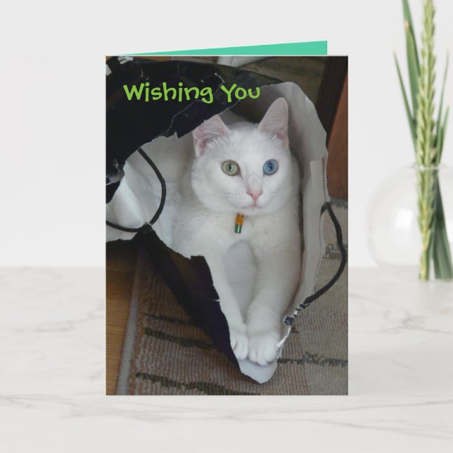 Serenity bagged holiday card (Front)