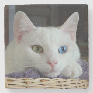 Serenity close-up marble coaster #2