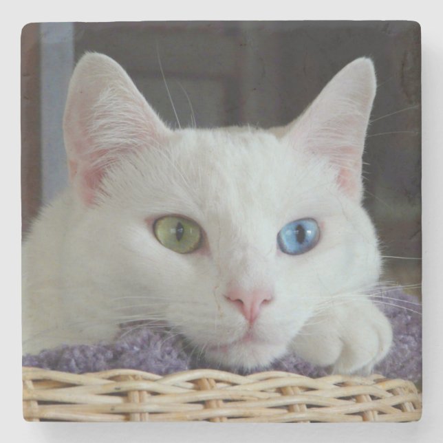 Serenity close-up marble coaster #2 (Front)