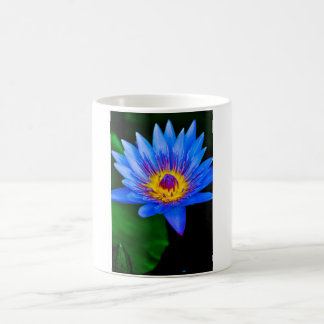Serenity Coffee Mug