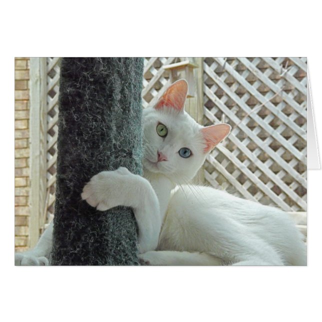 Serenity hug Card (Front Horizontal)