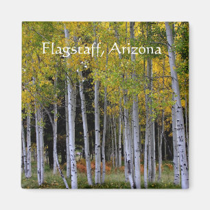 Serenity in gold and green magnet