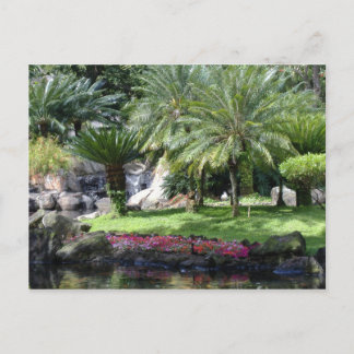 Serenity in Kauai Postcard