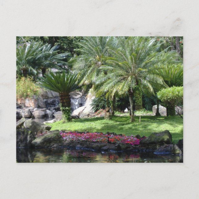 Serenity in Kauai Postcard (Front)