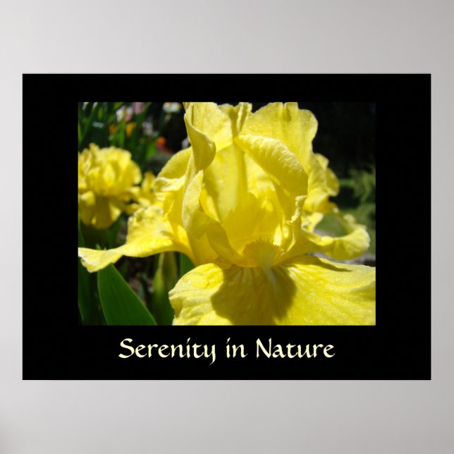 Serenity in Nature art prints Healing Touch gifts (Front)