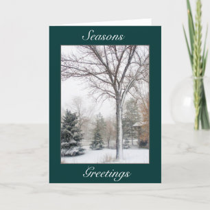 Serenity in the Blizzard Holiday Card