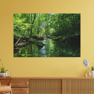 Serenity in the forest canvas print