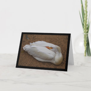 Serenity in White Card