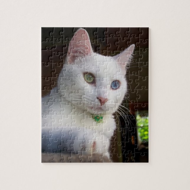 Serenity Odd-Eyed Cat puzzle (Vertical)
