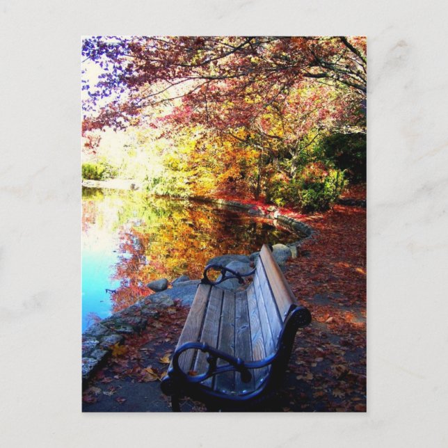 Serenity Postcard (Front)