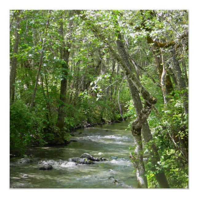 Serenity.... Poster (Front)