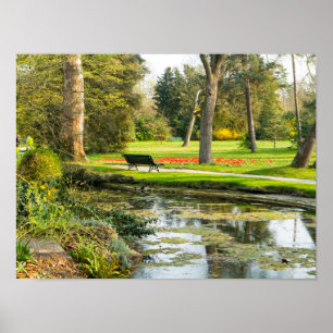 Serenity Poster Paper (Matte)